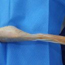 튼튼동물의료센터 이미지