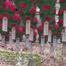 약사전약수터 이미지