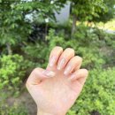오르노네일