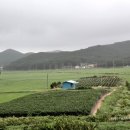 도신농장 이미지