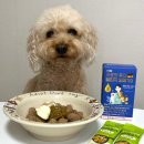 (주)프로벳 이미지