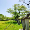 유당공원 내 비군 이미지