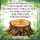 용인대한국태권도장 이미지