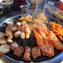 애견동반 식사가 가능한 온천천카페거리 맛집 풍미랑 방문 후기
