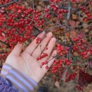 팍종이 아트 | "엘지아트센터 서울" 근처 이모저모