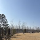 일월수목원전시온실 | 수원 데이트·아이랑 가볼만한곳 ㅣ 일월수목원 실내온실 2월 3월 방문 후기