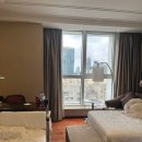 신천지약국 | 상해 사랑단이 되. 상하이 자유여행 4일차 ~