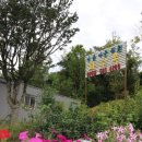 아름다운관광농원화수목 이미지