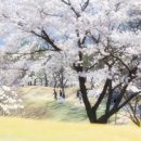 신라컨트리클럽 이미지