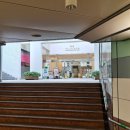 넥스렌트카 | 도쿄 숙소 추천 신주쿠 워싱턴 호텔 나리타 하네다 공항 리무진