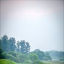 화포천생태습지공원 이미지