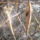 산타의선물 이미지