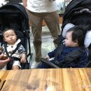 레오와 젠 이미지