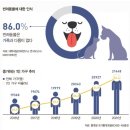 웰씨코리아 이미지