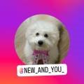 NEW&YOU Beauty(뉴앤유뷰티)