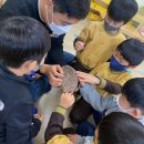 금광초병설유치원 이미지