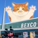 가야벽산아파트 상가 | 부산 가야벽산아파트 #고양이안전방충망 시공후기