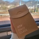 삼보농장 | 타본 KTX 특실 3호차 후기 I 거금도 여행 I 한국의...바다 I 고흥 녹동항 삼보횟집 I 나로커피 220 녹동...