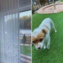 솔마루민박 이미지