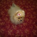 샤니미용실 이미지