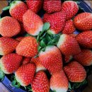 청주)과일나라(대전)유진헤어(남양주)아하 데이스파 봉암점(창원)청하우스(전주)셀비오 두피탈모(천안...