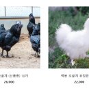 늘푸른청계농원 이미지