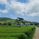 대원농장2 이미지