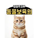 동물보육원 부천지부 | 춘천 고양이파양 보호소 맡길곳 행복한곳에서