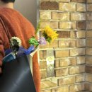 핸즈온버드 - 마포구 토정로3길 9 | 핸즈온버드