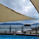 서포비치 이미지