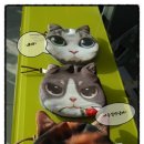 신천동물병원 이미지