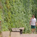 이모카세 이미지