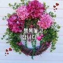 Even Now/NanaMouskouri(나나 무스꾸리) 이미지