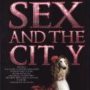 애견모델 이미지