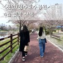 도원리 공중화장실(도로변) | 천안 청수호수공원 산책코스 주차 청당1공원까지 걷기 좋은 벚꽃길 4월 풍경