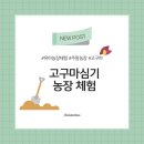 조엄농장 이미지