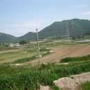 영광 성산리 지석묘군 이미지