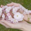 킹부동산중개 이미지