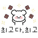 스테디네일 이미지