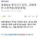 육류담보 투자사기 터져…피해액만 수천억원 [한양경제] 이미지