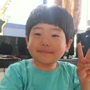 승민애견 이미지