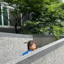 도연이네 민박 이미지