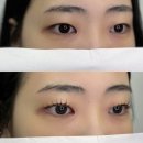 [대전 온데일리]_월평동 속눈썹펌 후기/속눈썹 잘하는 곳