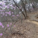 충남 청양군 칠갑산~삼형제봉~장승공원~천장호 출렁다리 이미지