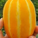 비비프레시