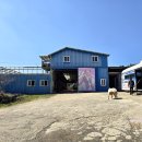 제주 4륜바이크, 승마체험! 한라산 뷰 달린 제주리딩팜승마클럽&amp;ATV 후기