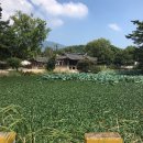 이과수빌라옆 | [경주여행] 오직 한 가족만을 위한 개인풀장이 있는 독채 #코지풀빌라