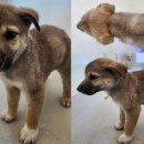 조산1길 이미지