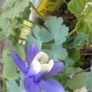 개금1동-7 이미지