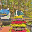 속리산농장 이미지